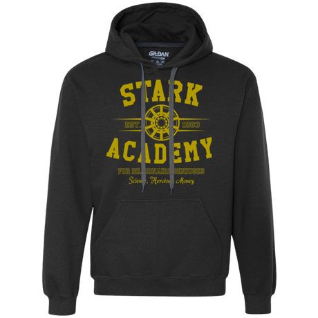Sweatshirts Black / Small Stark Academy Premium Fleece Hoodie