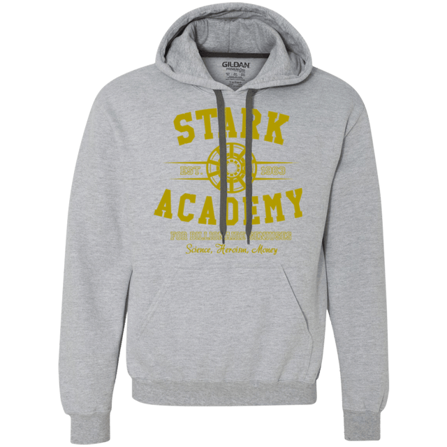 Sweatshirts Sport Grey / Small Stark Academy Premium Fleece Hoodie