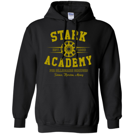 Sweatshirts Black / Small Stark Academy Pullover Hoodie