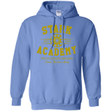 Sweatshirts Carolina Blue / Small Stark Academy Pullover Hoodie