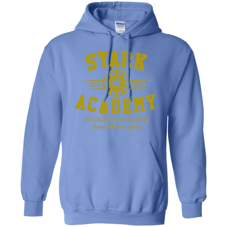 Sweatshirts Carolina Blue / Small Stark Academy Pullover Hoodie
