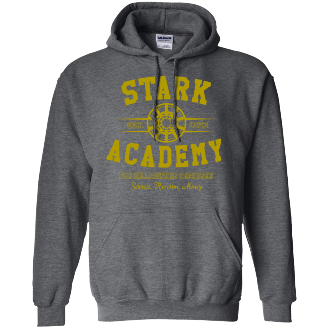 Sweatshirts Dark Heather / Small Stark Academy Pullover Hoodie