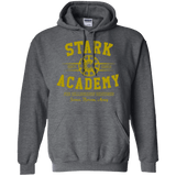 Sweatshirts Dark Heather / Small Stark Academy Pullover Hoodie