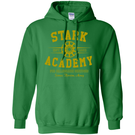 Sweatshirts Irish Green / Small Stark Academy Pullover Hoodie