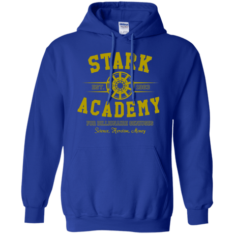 Sweatshirts Royal / Small Stark Academy Pullover Hoodie