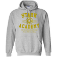 Sweatshirts Sport Grey / Small Stark Academy Pullover Hoodie