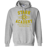 Sweatshirts Sport Grey / Small Stark Academy Pullover Hoodie