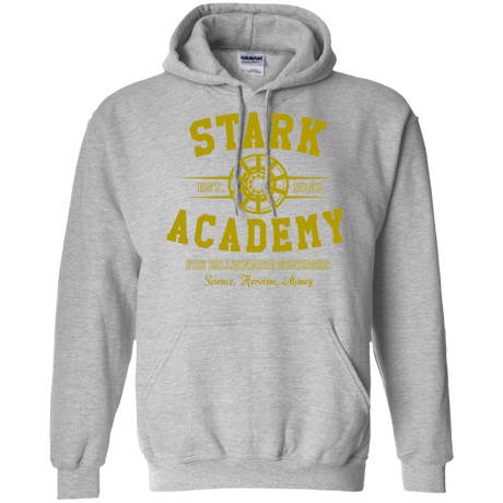 Sweatshirts Sport Grey / Small Stark Academy Pullover Hoodie