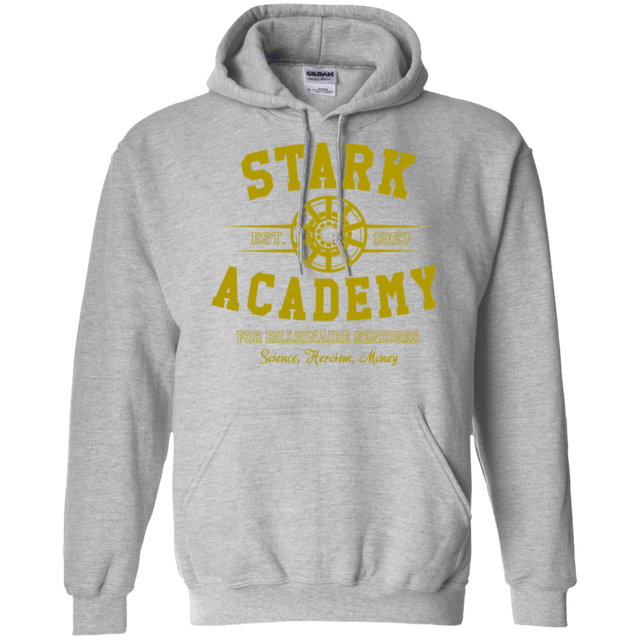 Sweatshirts Sport Grey / Small Stark Academy Pullover Hoodie