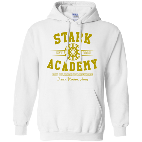 Sweatshirts White / Small Stark Academy Pullover Hoodie