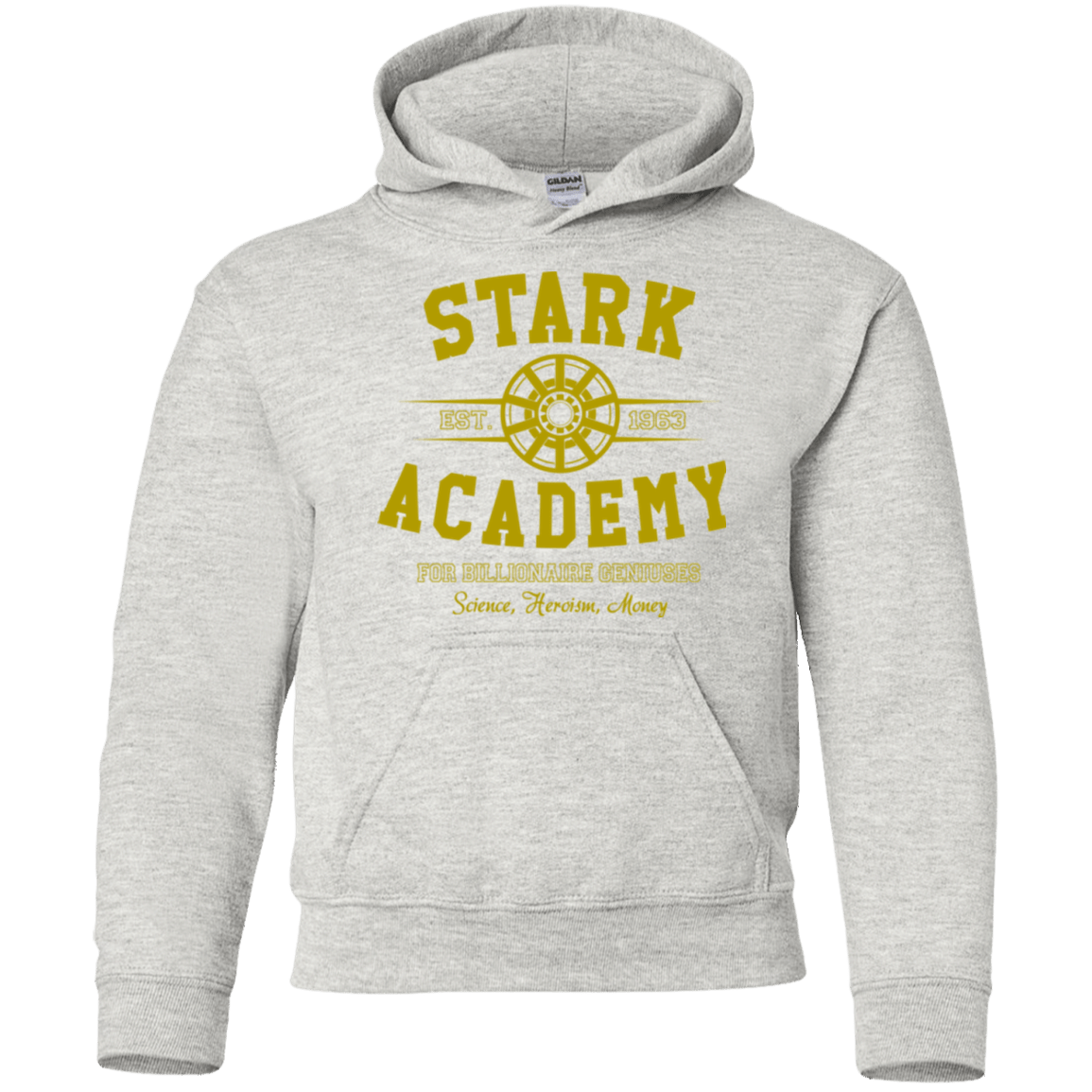 Sweatshirts Ash / YS Stark Academy Youth Hoodie