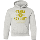 Sweatshirts Ash / YS Stark Academy Youth Hoodie