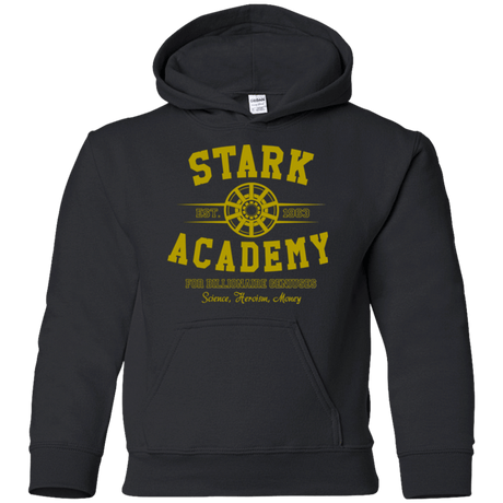 Sweatshirts Black / YS Stark Academy Youth Hoodie