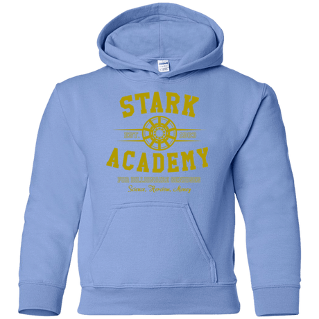 Sweatshirts Carolina Blue / YS Stark Academy Youth Hoodie