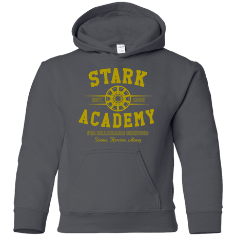 Sweatshirts Charcoal / YS Stark Academy Youth Hoodie