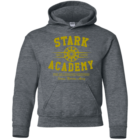 Sweatshirts Dark Heather / YS Stark Academy Youth Hoodie