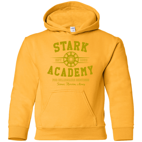 Sweatshirts Gold / YS Stark Academy Youth Hoodie