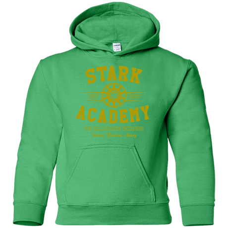 Sweatshirts Irish Green / YS Stark Academy Youth Hoodie