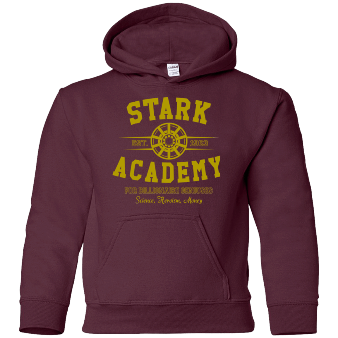Sweatshirts Maroon / YS Stark Academy Youth Hoodie