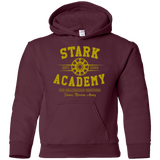 Sweatshirts Maroon / YS Stark Academy Youth Hoodie