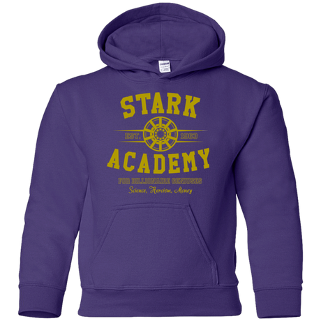 Sweatshirts Purple / YS Stark Academy Youth Hoodie