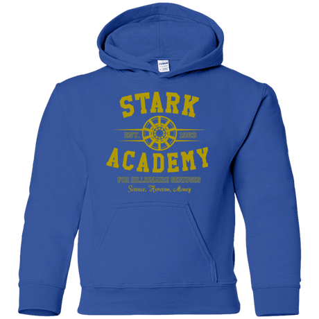 Sweatshirts Royal / YS Stark Academy Youth Hoodie