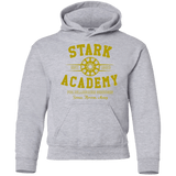 Sweatshirts Sport Grey / YS Stark Academy Youth Hoodie