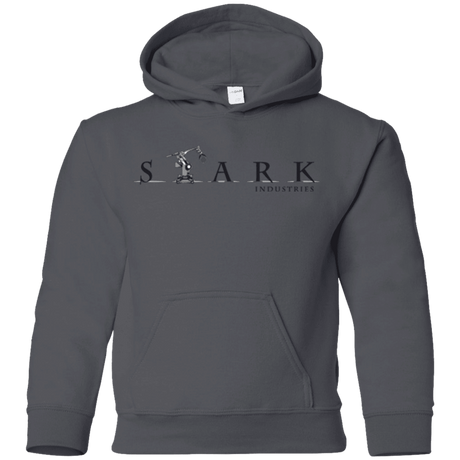 Sweatshirts Charcoal / YS STARK Youth Hoodie