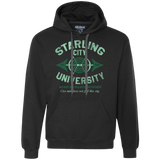 Sweatshirts Black / Small Starling City U Premium Fleece Hoodie
