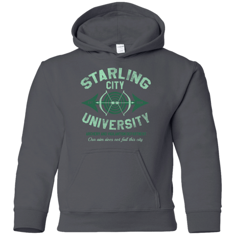 Sweatshirts Charcoal / YS Starling City U Youth Hoodie
