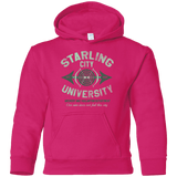 Sweatshirts Heliconia / YS Starling City U Youth Hoodie