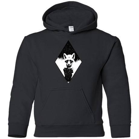 Sweatshirts Black / YS Starry Raccoon Youth Hoodie