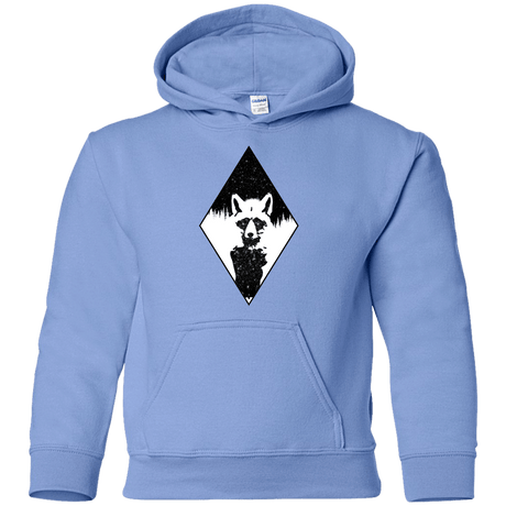 Sweatshirts Carolina Blue / YS Starry Raccoon Youth Hoodie