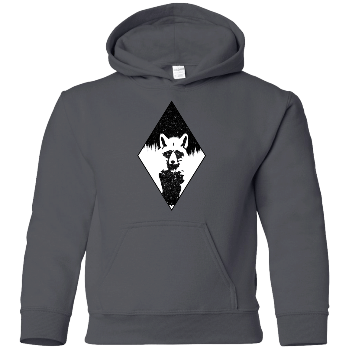 Sweatshirts Charcoal / YS Starry Raccoon Youth Hoodie