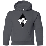 Sweatshirts Charcoal / YS Starry Raccoon Youth Hoodie