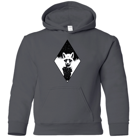 Sweatshirts Charcoal / YS Starry Raccoon Youth Hoodie