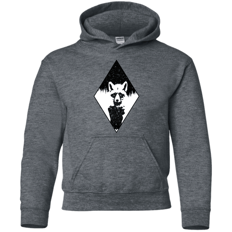 Sweatshirts Dark Heather / YS Starry Raccoon Youth Hoodie