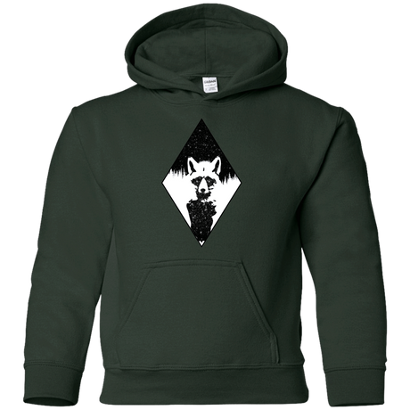 Sweatshirts Forest Green / YS Starry Raccoon Youth Hoodie