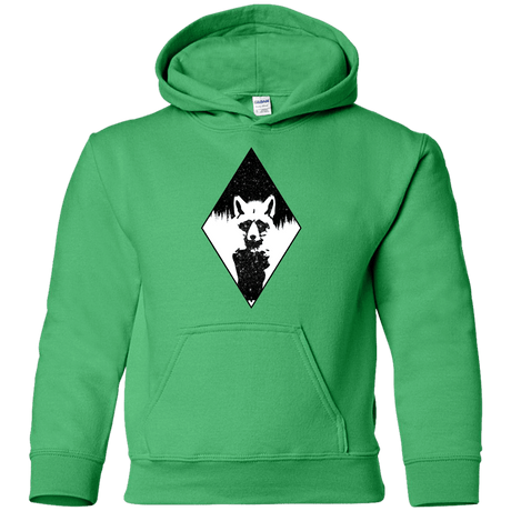 Sweatshirts Irish Green / YS Starry Raccoon Youth Hoodie