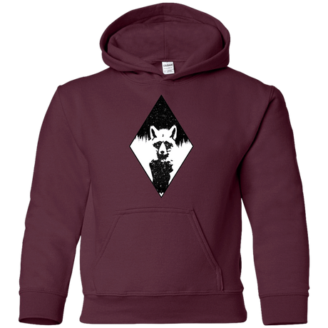 Sweatshirts Maroon / YS Starry Raccoon Youth Hoodie