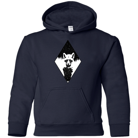 Sweatshirts Navy / YS Starry Raccoon Youth Hoodie