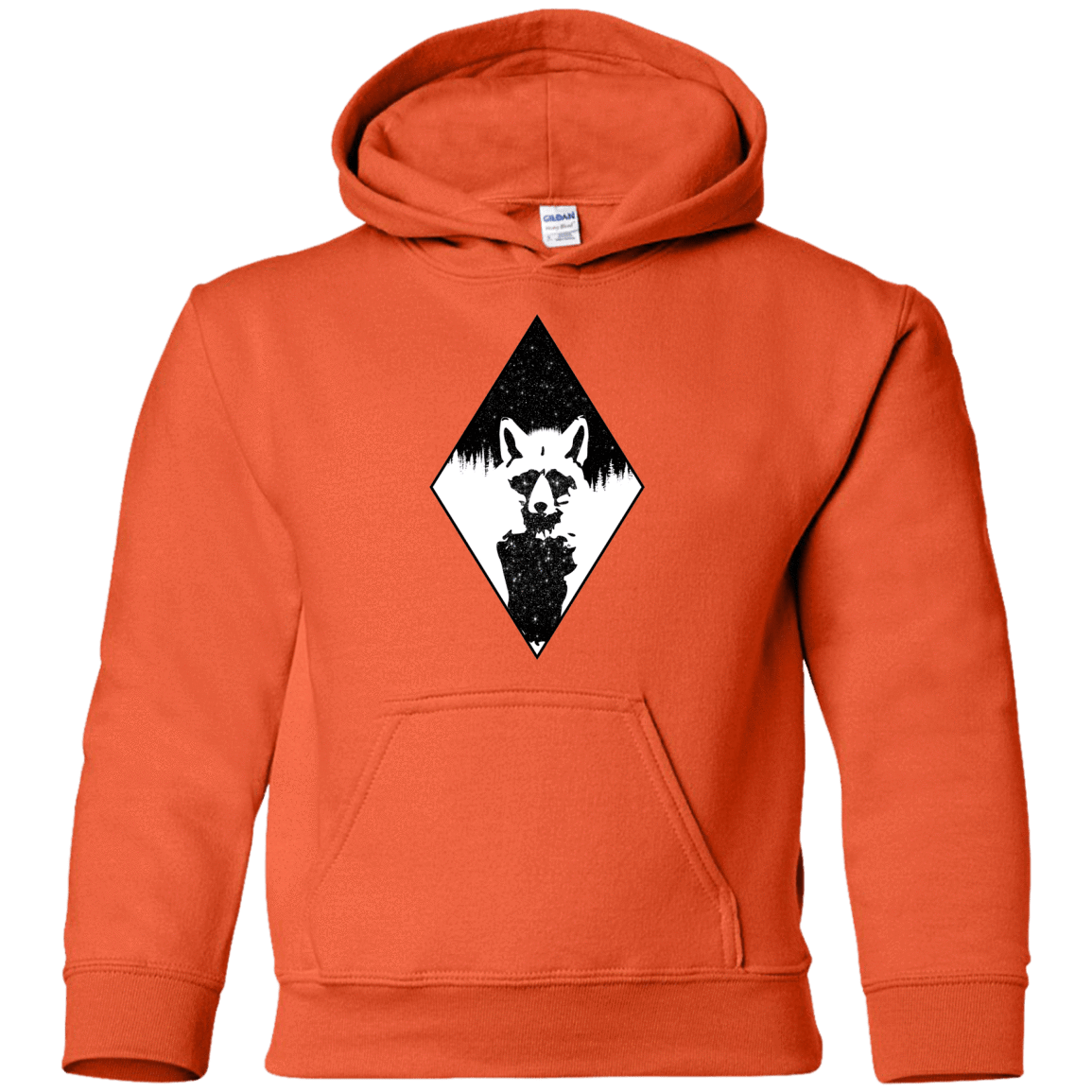 Sweatshirts Orange / YS Starry Raccoon Youth Hoodie