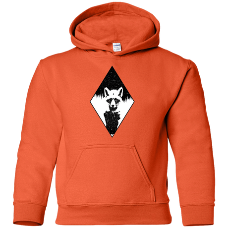 Sweatshirts Orange / YS Starry Raccoon Youth Hoodie