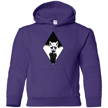Sweatshirts Purple / YS Starry Raccoon Youth Hoodie