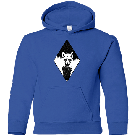 Sweatshirts Royal / YS Starry Raccoon Youth Hoodie