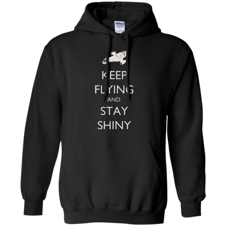 Sweatshirts Black / Small Stay Shiny Pullover Hoodie