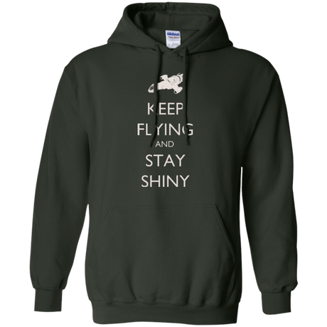 Sweatshirts Forest Green / Small Stay Shiny Pullover Hoodie