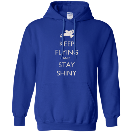 Sweatshirts Royal / Small Stay Shiny Pullover Hoodie