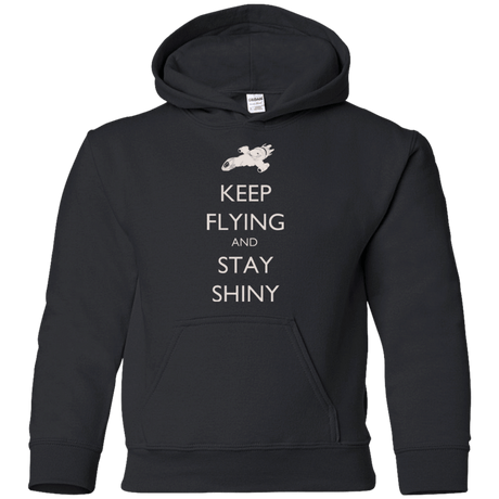 Sweatshirts Black / YS Stay Shiny Youth Hoodie