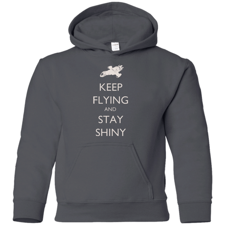 Sweatshirts Charcoal / YS Stay Shiny Youth Hoodie